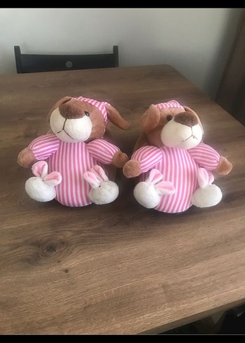 Ev Pandufu - Görsel 2