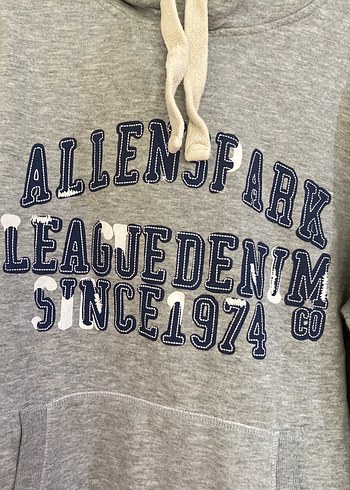 Gri Baskılı Kapüşonlu Kadın Sweatshirt - Görsel 3