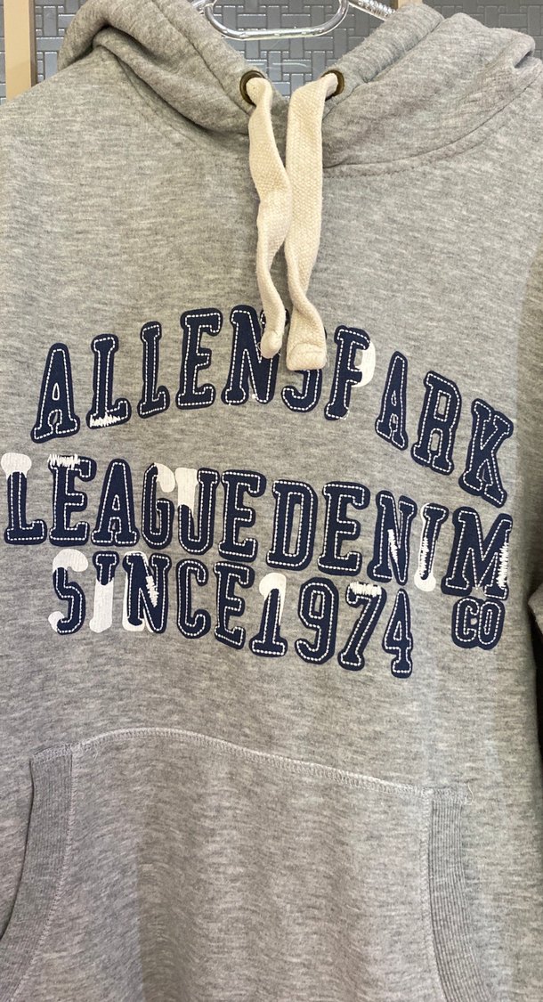 Gri Baskılı Kapüşonlu Kadın Sweatshirt - Görsel 3