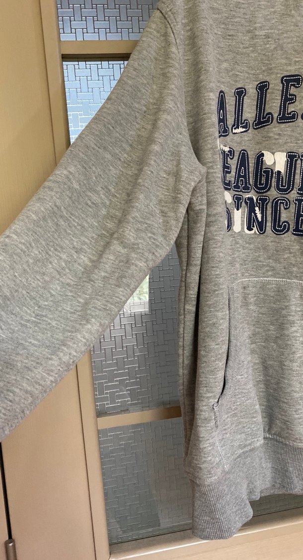 Gri Baskılı Kapüşonlu Kadın Sweatshirt - Görsel 4