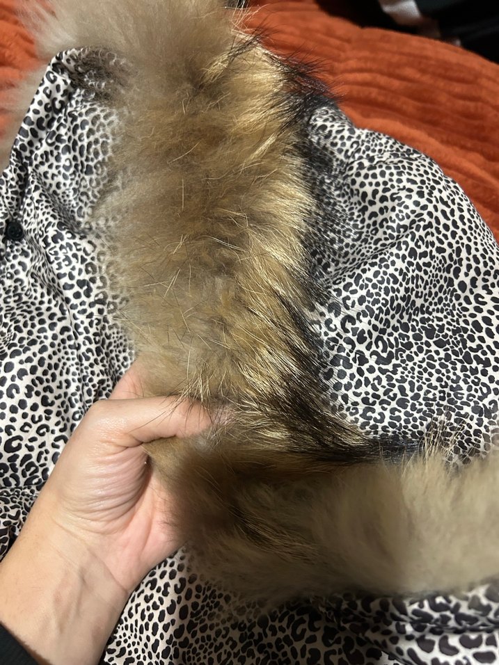 Mango kadın mont - Görsel 4