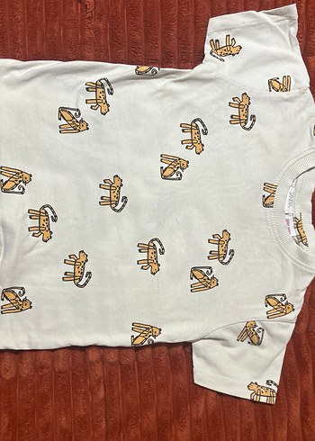 Zara Erkek Çocuk Kısa Kollu Tişört - Görsel 2