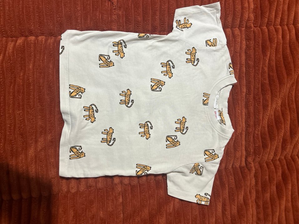 Zara Erkek Çocuk Kısa Kollu Tişört - Görsel 2