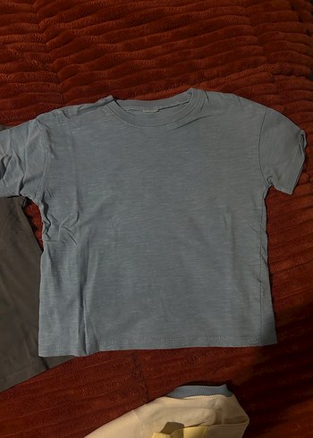 Erkek Çocuk Çok Renkli Kısa Kollu Tişört - Görsel 4