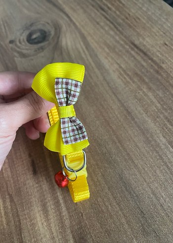 Sarı Fiyonklu Kedi Tasması - Görsel 2