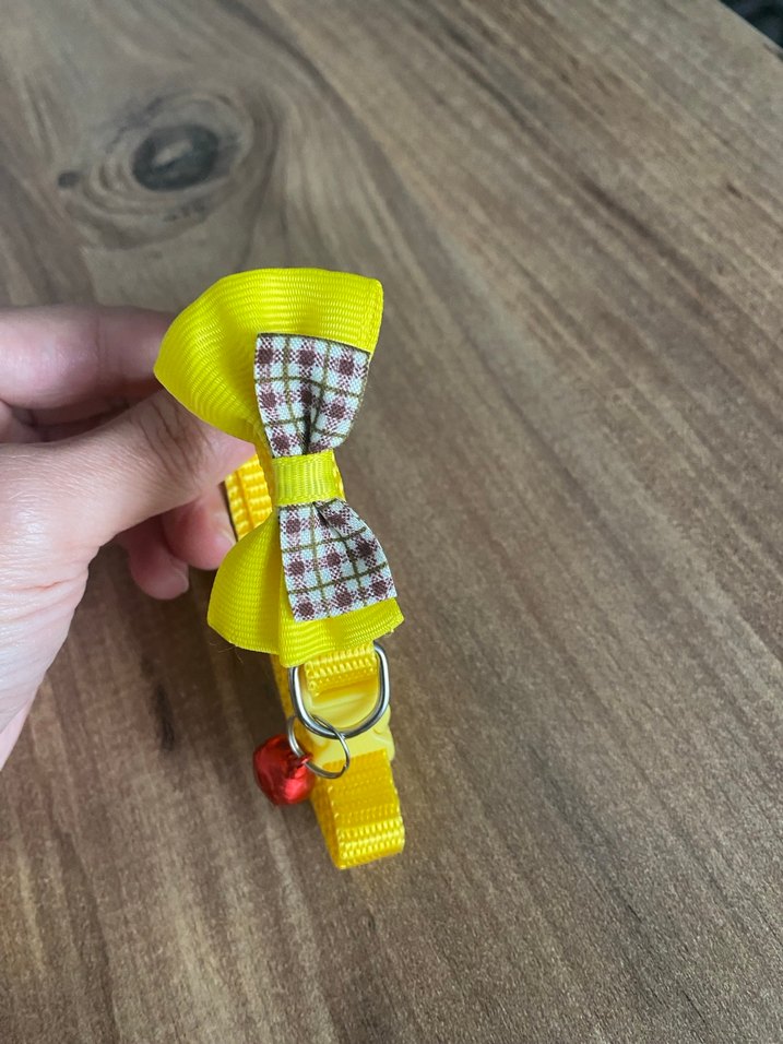 Sarı Fiyonklu Kedi Tasması - Görsel 2