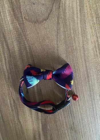 Kedi tasması - Görsel 3