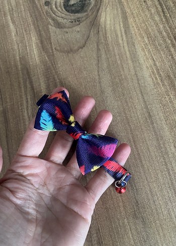 Kedi tasması - Görsel 2