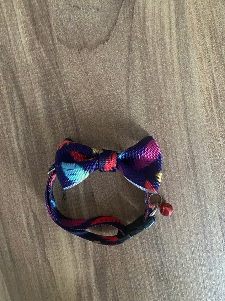 Kedi tasması - Görsel 3