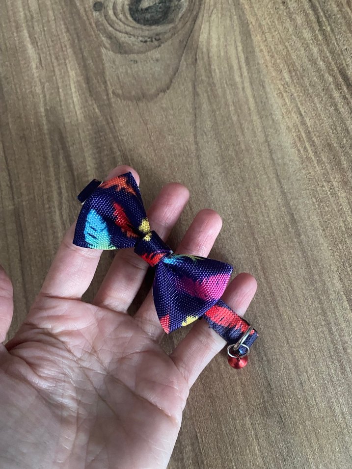 Kedi tasması - Görsel 2