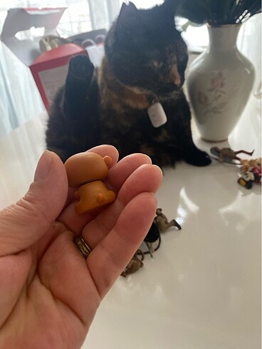Beden Renk Miniş bebe