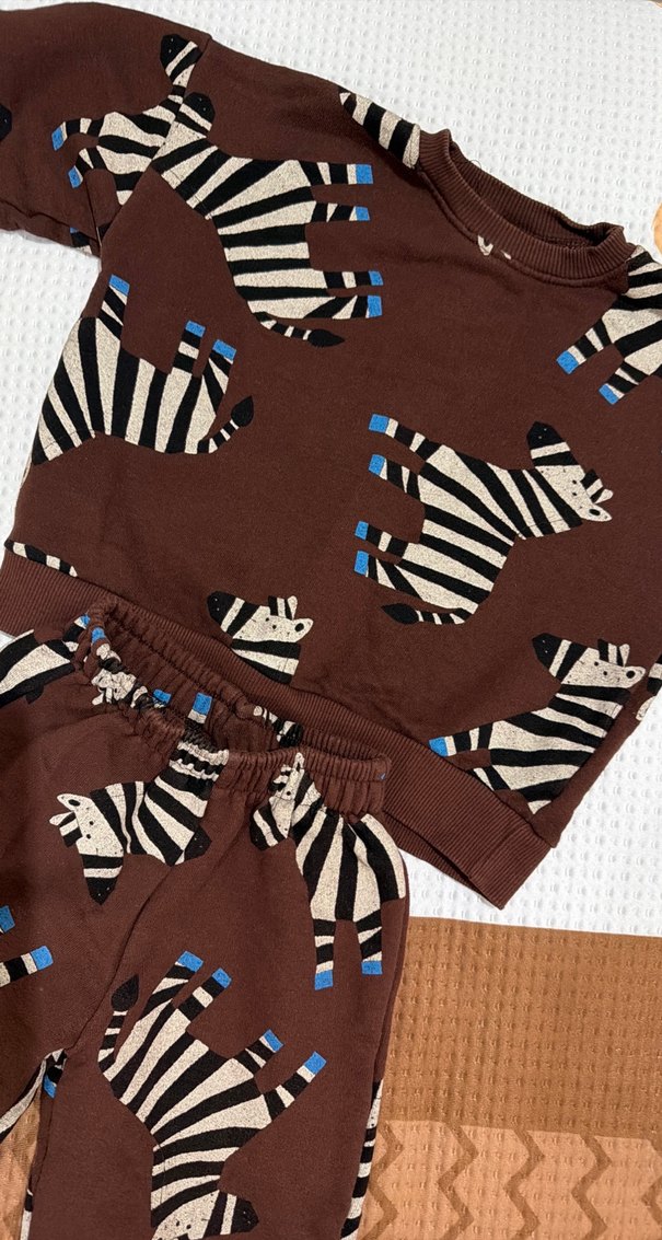 Kahverengi Zebra Desenli Bebek Takımı - Görsel 2