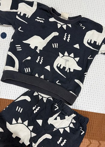 Gri Dinozor Desenli Erkek Bebek Takımı - Görsel 2