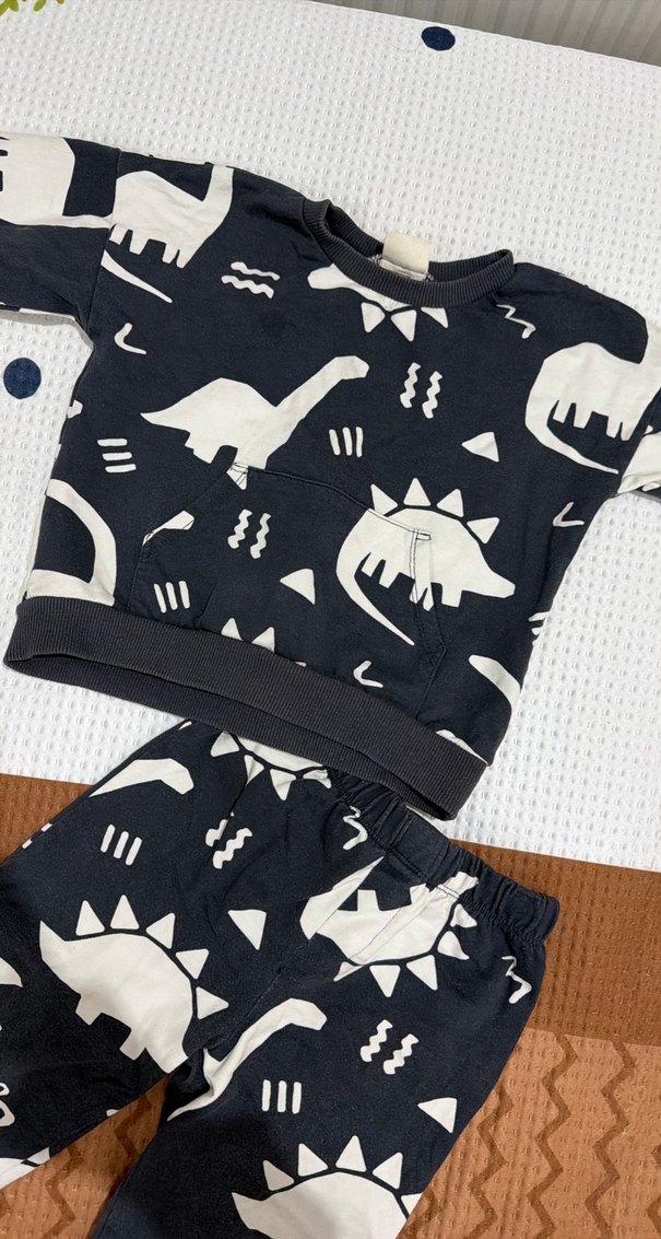 Gri Dinozor Desenli Erkek Bebek Takımı - Görsel 2