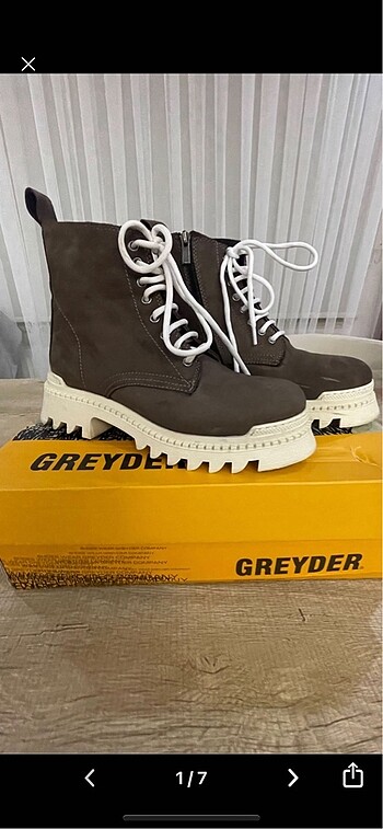 Greyder bayan bot