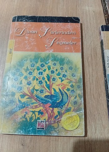 Evliya Çelebi Seçmeler, Kerem ile Aslı, Divan Şiirlerinden - Görsel 2