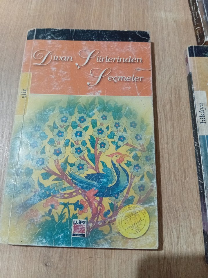 Evliya Çelebi Seçmeler, Kerem ile Aslı, Divan Şiirlerinden - Görsel 2