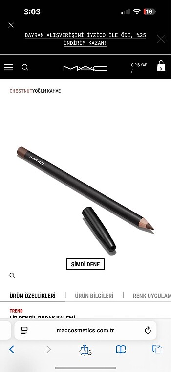 mac chestnut dudak kalemi
