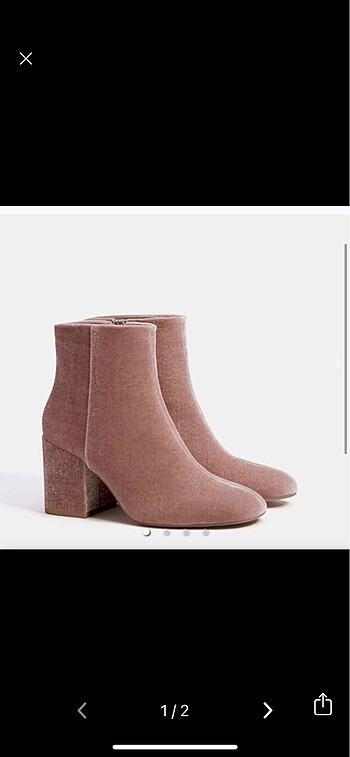 Bershka bot