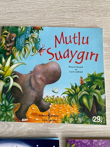 Beden Renk Kitap