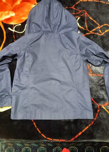 Tommy hilfiger baharlık mont - Görsel 2