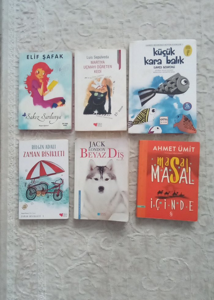 6 Kitap Seti: Elif Şafak, Ahmet Ümit ve Diğerleri - Görsel 2