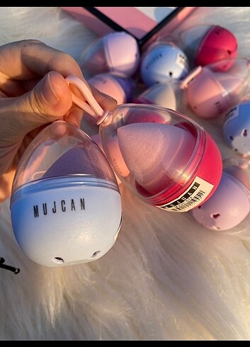 Kutulu sünger  - Görsel 3