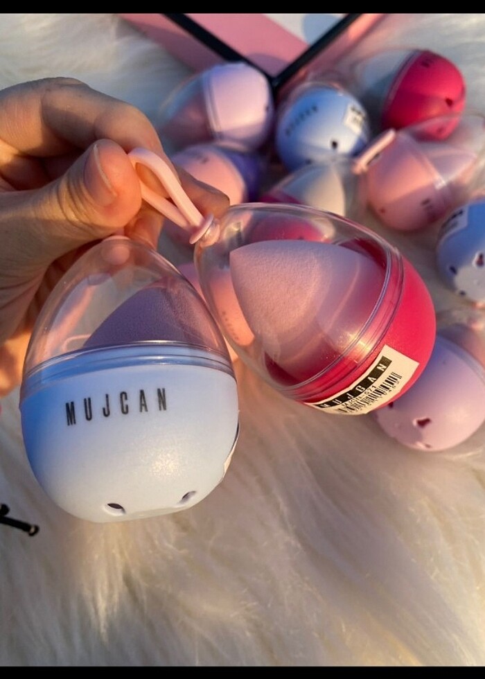 Kutulu sünger  - Görsel 3