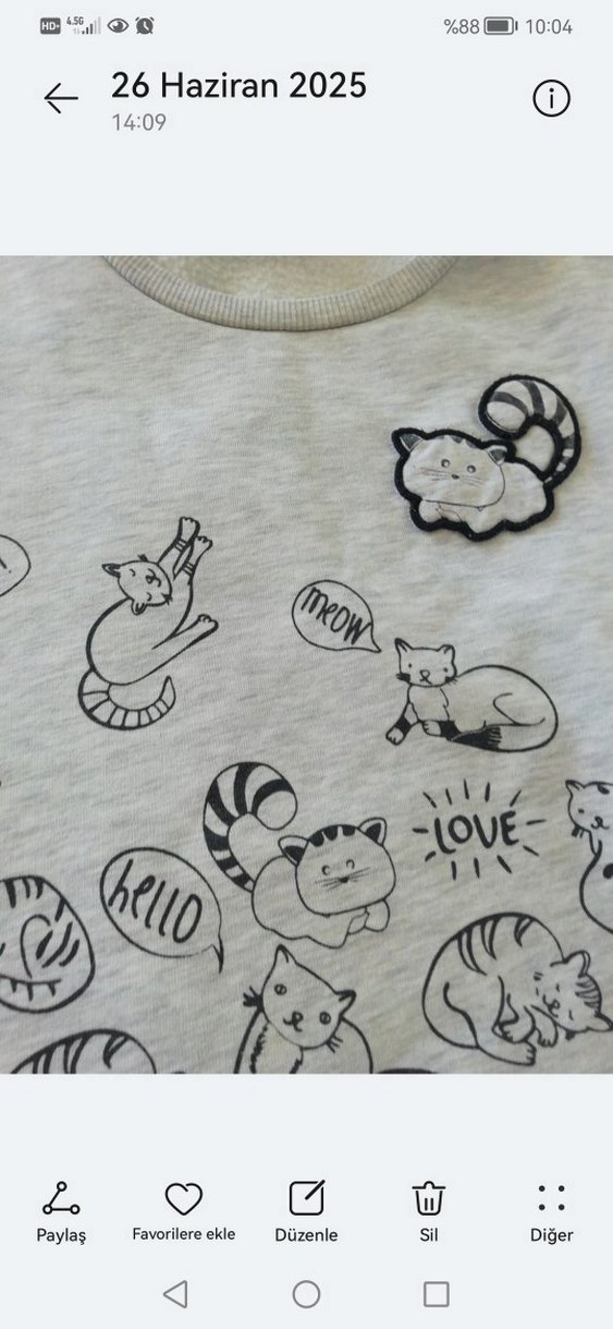 Kız Çocuk Gri Baskılı penye Sweatshirt - Görsel 3