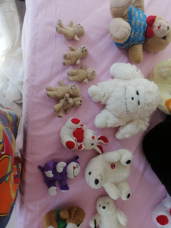 Pastel Pembe Peluş Oyuncaklar Seti - Görsel 3