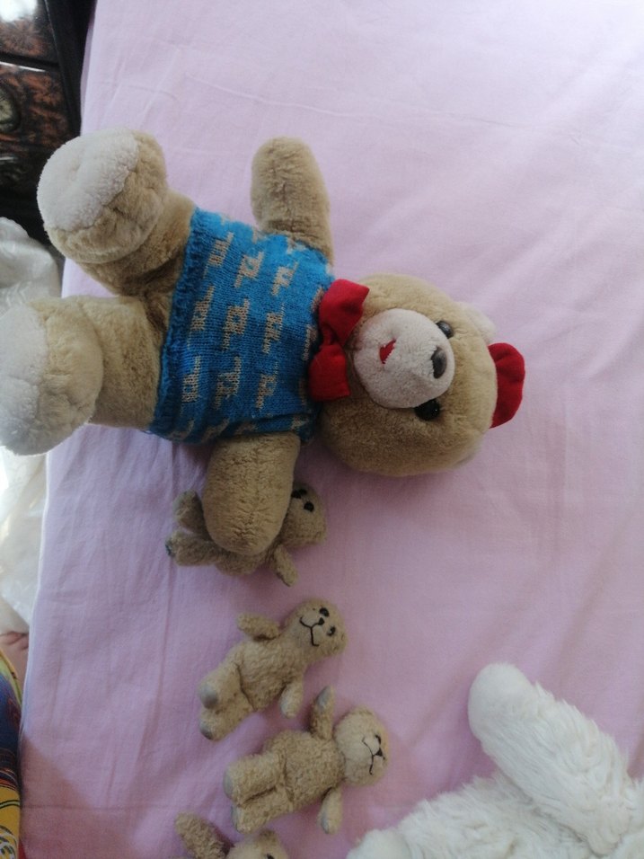 Pastel Pembe Peluş Oyuncaklar Seti - Görsel 4