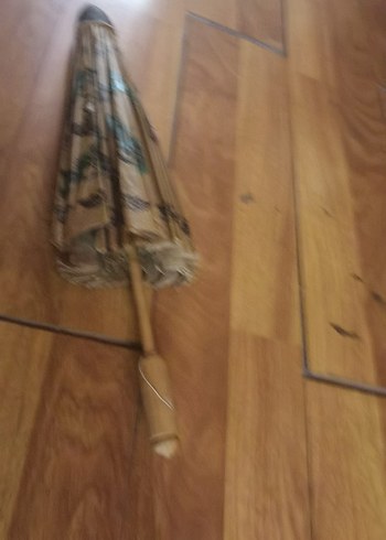 Sus şemsiye - Görsel 7