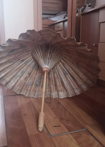 Sus şemsiye - Görsel 6