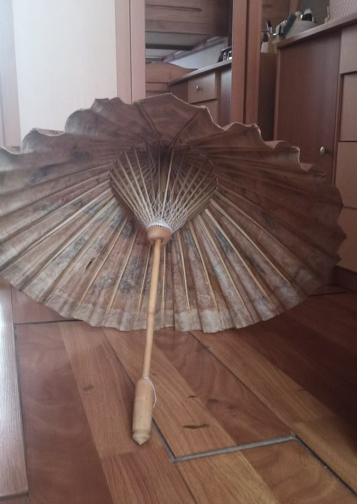 Sus şemsiye - Görsel 5