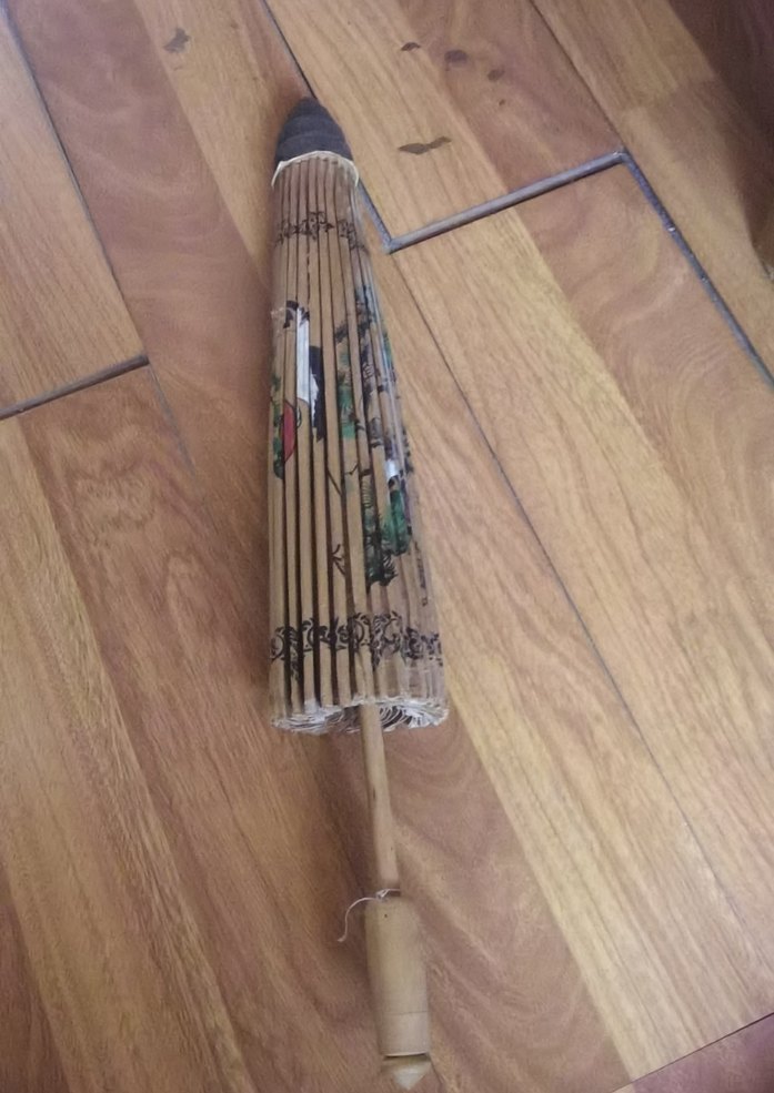 Sus şemsiye - Görsel 3