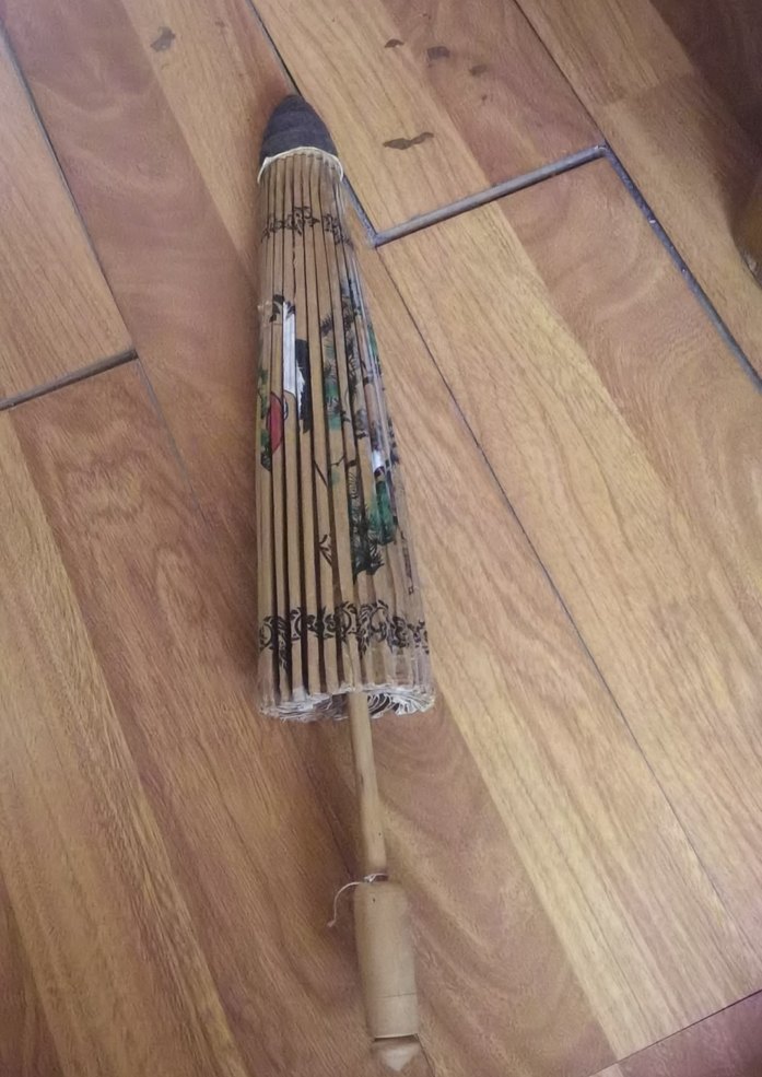 Sus şemsiye - Görsel 2