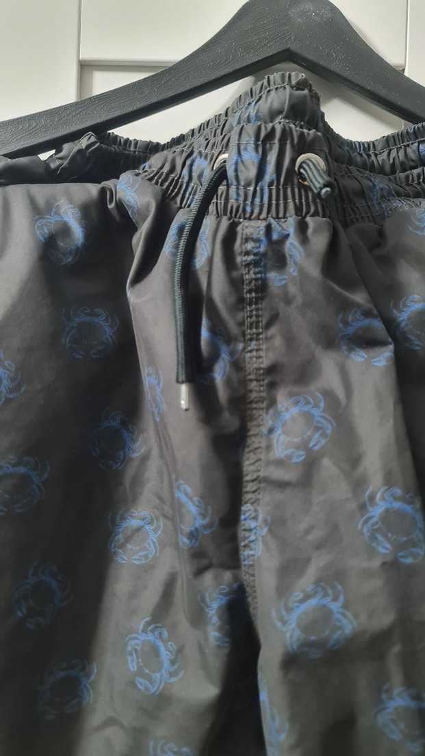 Erkek Plaj Şort - Görsel 2