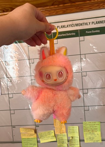 LABUGU PEMBE