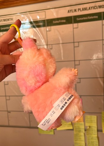  Beden LABUGU PEMBE