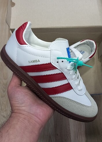 37 Beden Samba