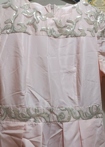 Pembe Vintage Uzun Kollu Kadın Elbise - Görsel 4