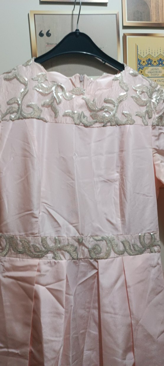 Pembe Vintage Uzun Kollu Kadın Elbise - Görsel 4