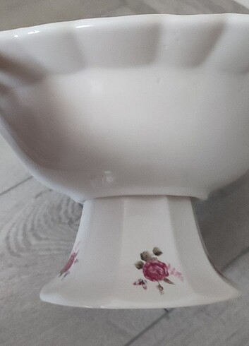 Desenli ayaklı meyvelik  - Görsel 3