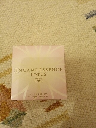 İncandessence lotus