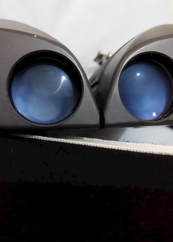 Bej-Gri Dürbün - Görsel 2