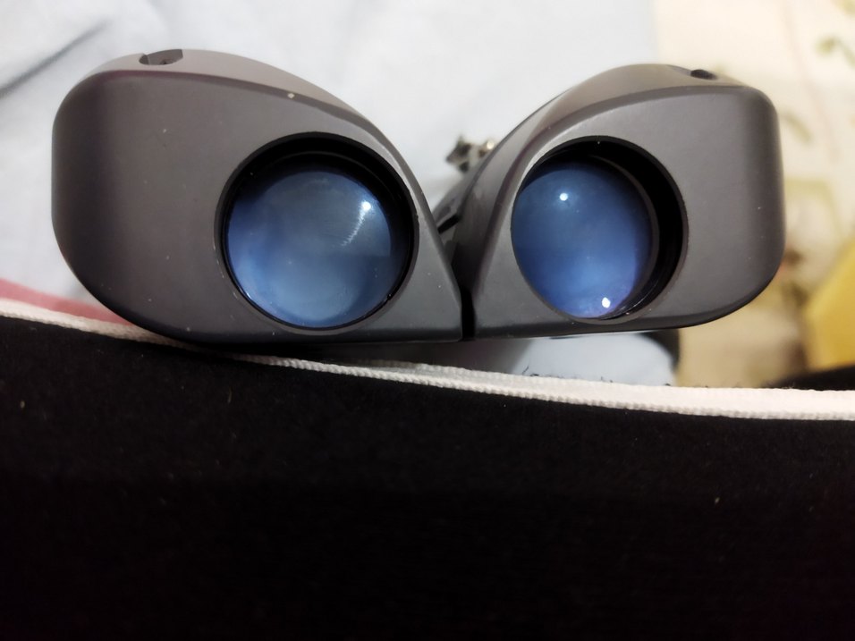 Bej-Gri Dürbün - Görsel 2