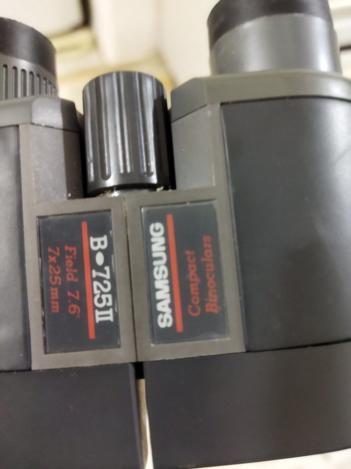 Bej-Gri Dürbün - Görsel 5