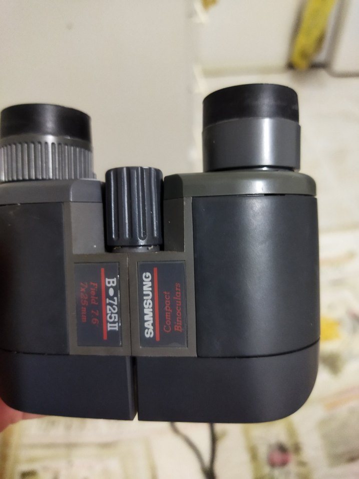 Bej-Gri Dürbün - Görsel 4