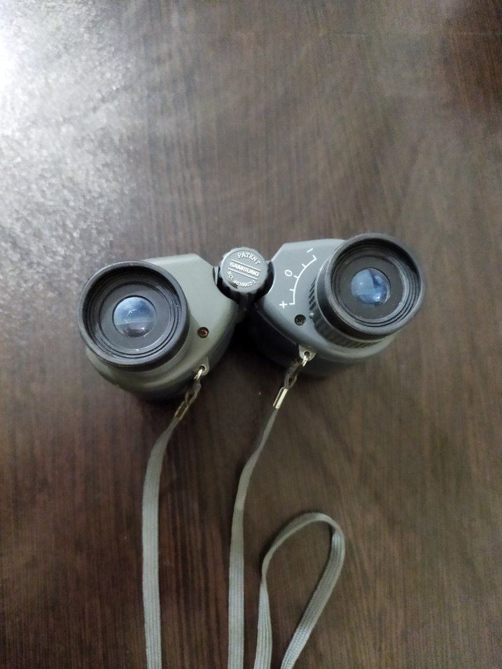 Bej-Gri Dürbün - Görsel 3