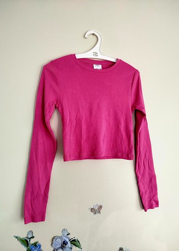 Zara zara crop